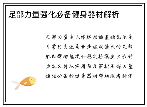 足部力量强化必备健身器材解析